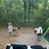 Review photo of Goat House Farm by Abby , May 16, 2023