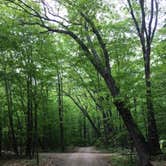 Review photo of Crawford Notch Campground by Melissa W., May 16, 2023