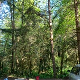 Review photo of Mystic Forest RV Park by Casey , May 16, 2023