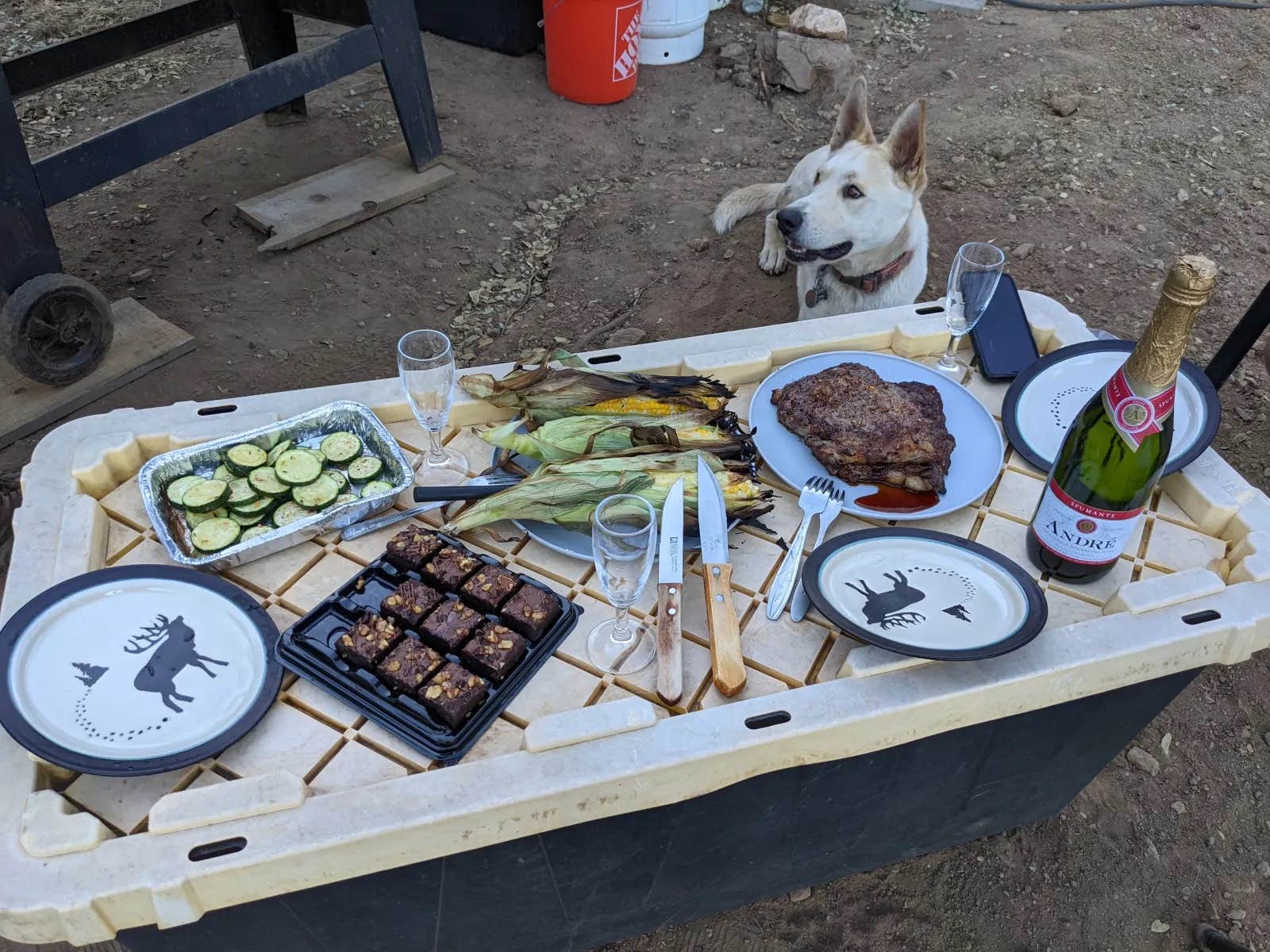 Matt D.'s photo of camping with pets at Camp ikigai Animal Sanctuary 501c3 near Fresno, CA