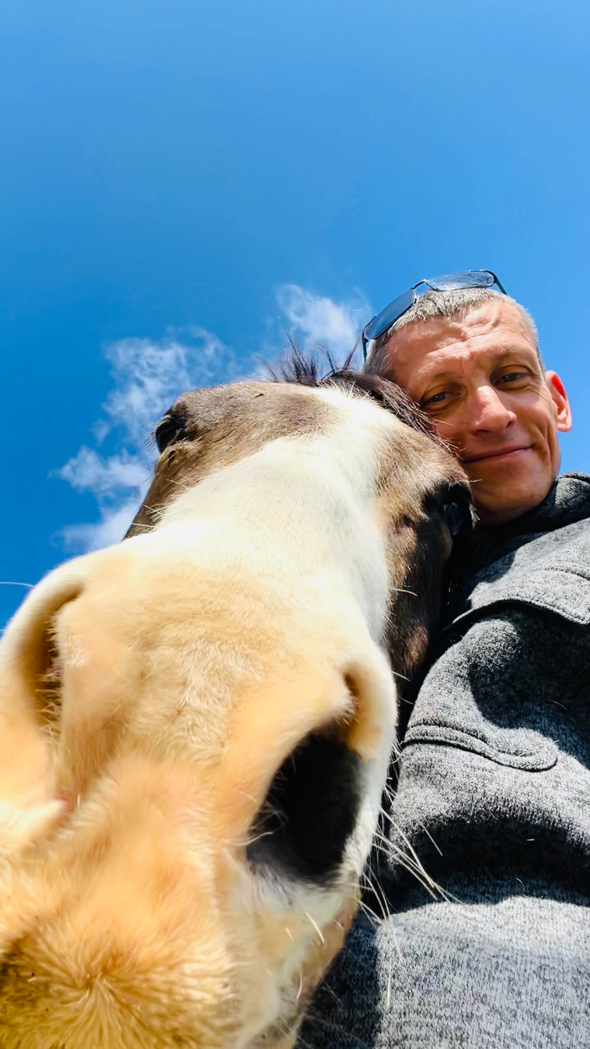 Matt D.'s photo of camping with pets at Camp ikigai Animal Sanctuary 501c3 near Exeter, CA