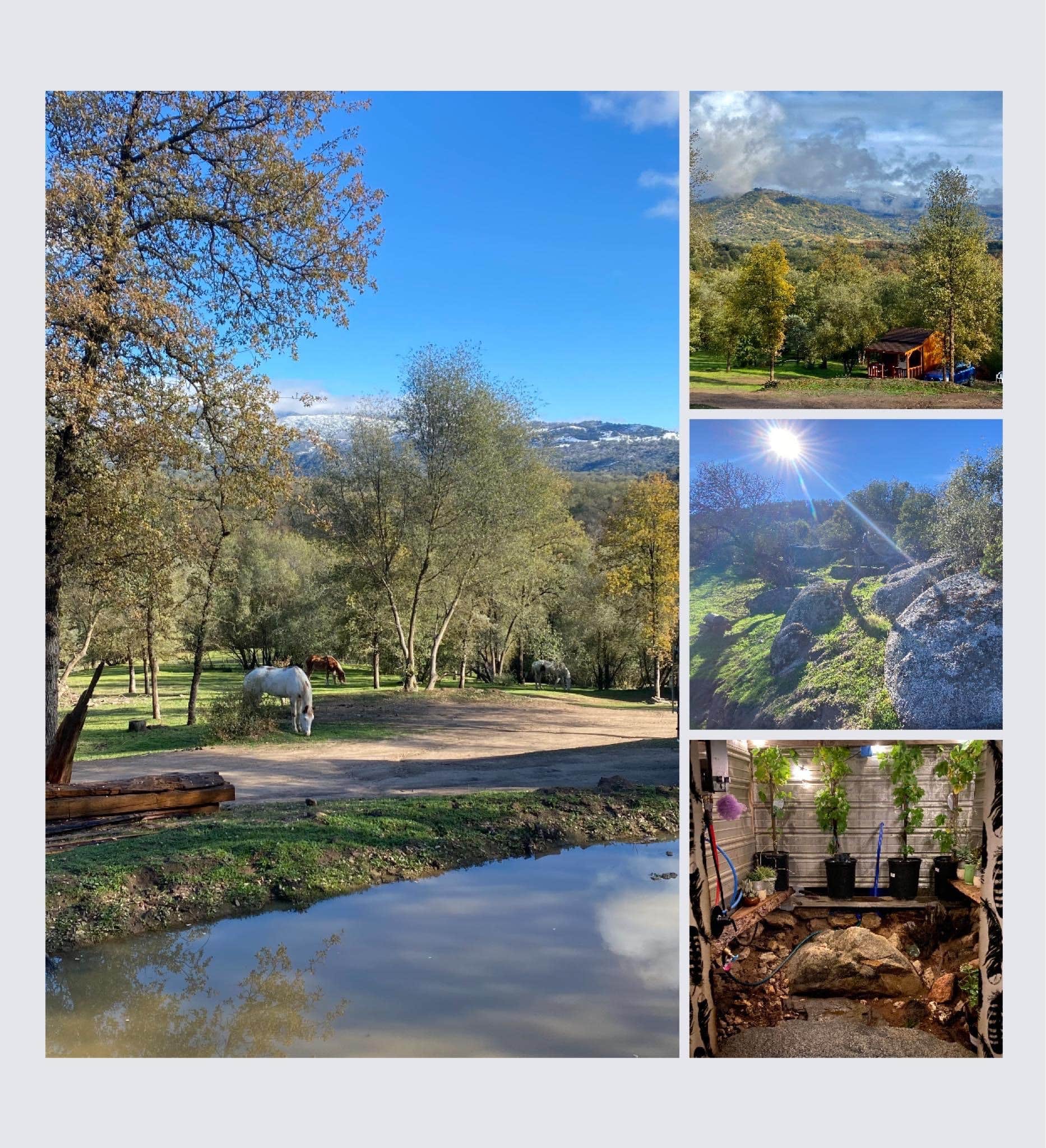 Camper-submitted photo at Camp ikigai Animal Sanctuary 501c3 near Hume, CA