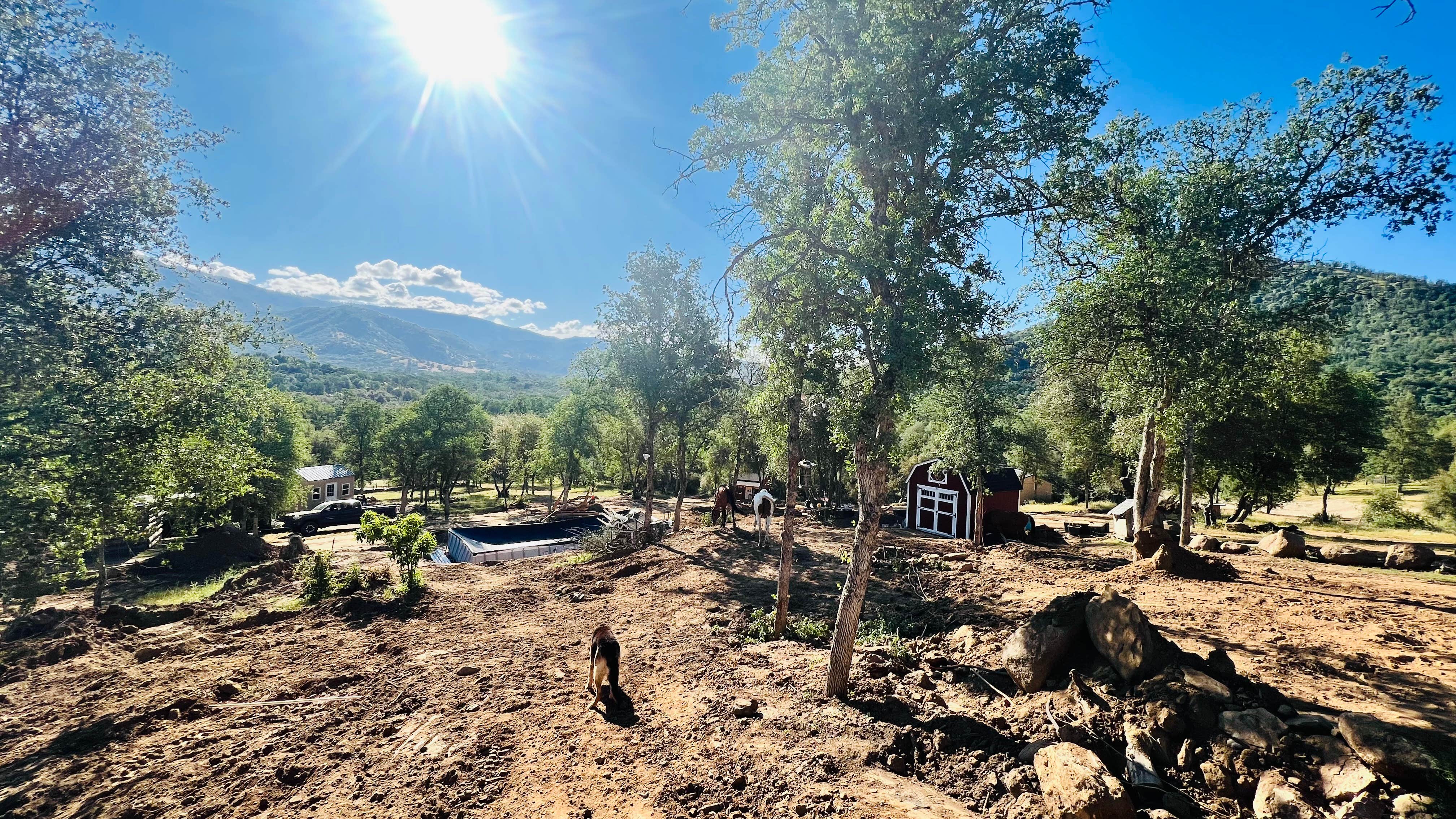 Matt D.'s photo of camping with pets at Camp ikigai Animal Sanctuary 501c3 near Fresno, CA