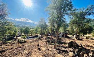 Matt D.'s photo at Camp ikigai Animal Sanctuary 501c3 near Visalia, CA