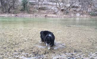 Ronnie M.'s photo of camping with pets at Guadalupe River RV Park and Campgrounds near San Antonio, TX