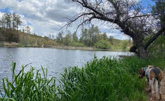 Justin M.'s photo of camping with pets at Crown King Area (Horsethief Basin lake) near Crown King, AZ
