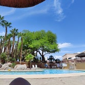Review photo of Oasis Las Vegas RV Resort by Els T., May 16, 2023