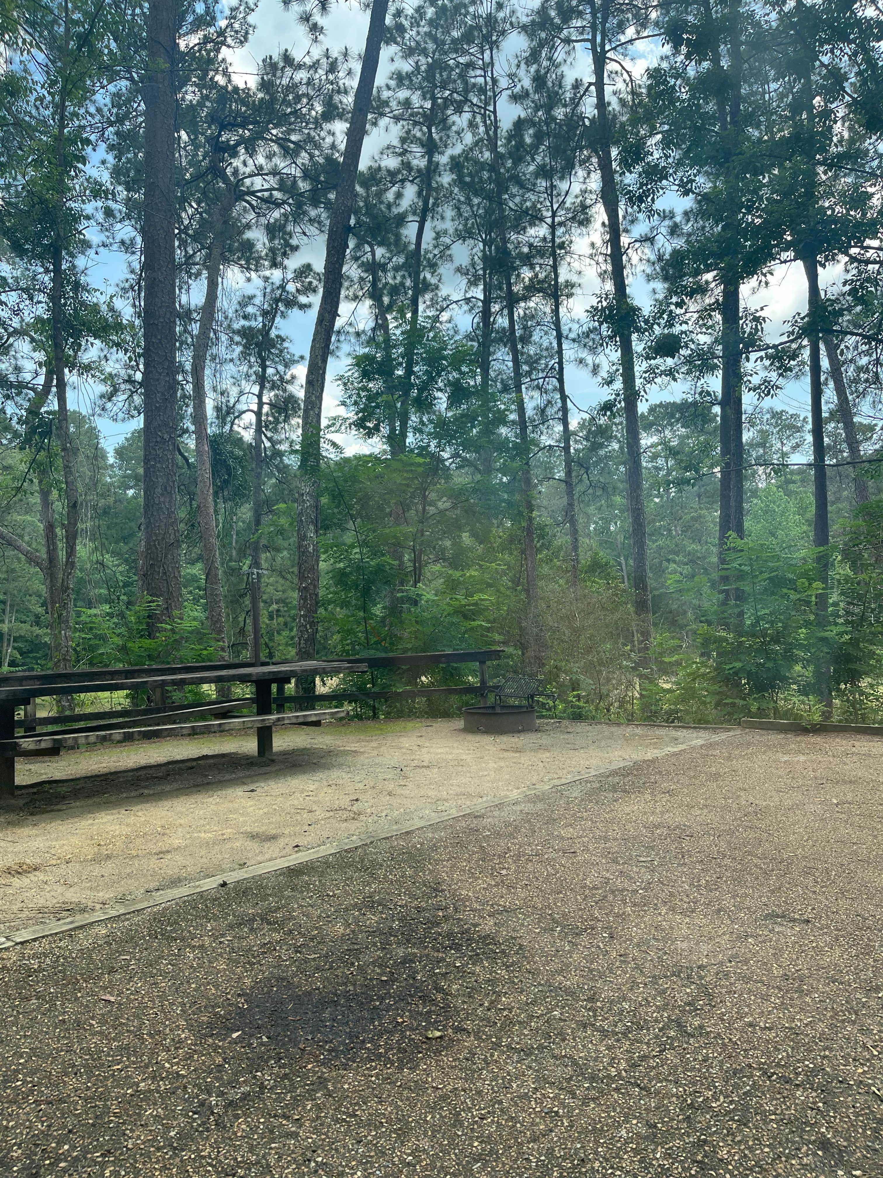 Camping near Homochitto National Forest, MS 33 Best Places to Camp