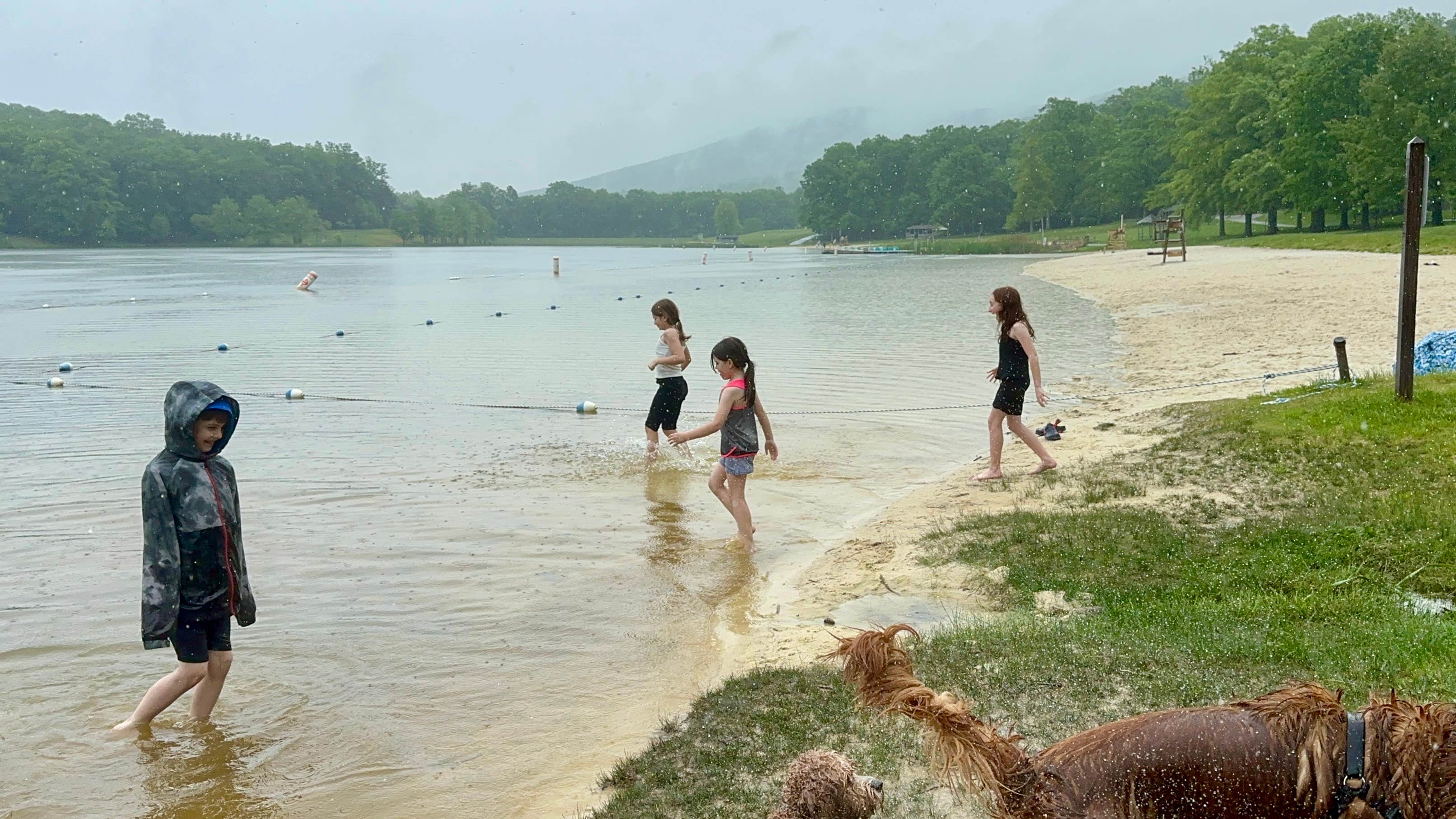Stuart H.'s photo of camping with pets at Greenbrier State Park Campground - TEMPORARILY CLOSED near Waynesboro, PA
