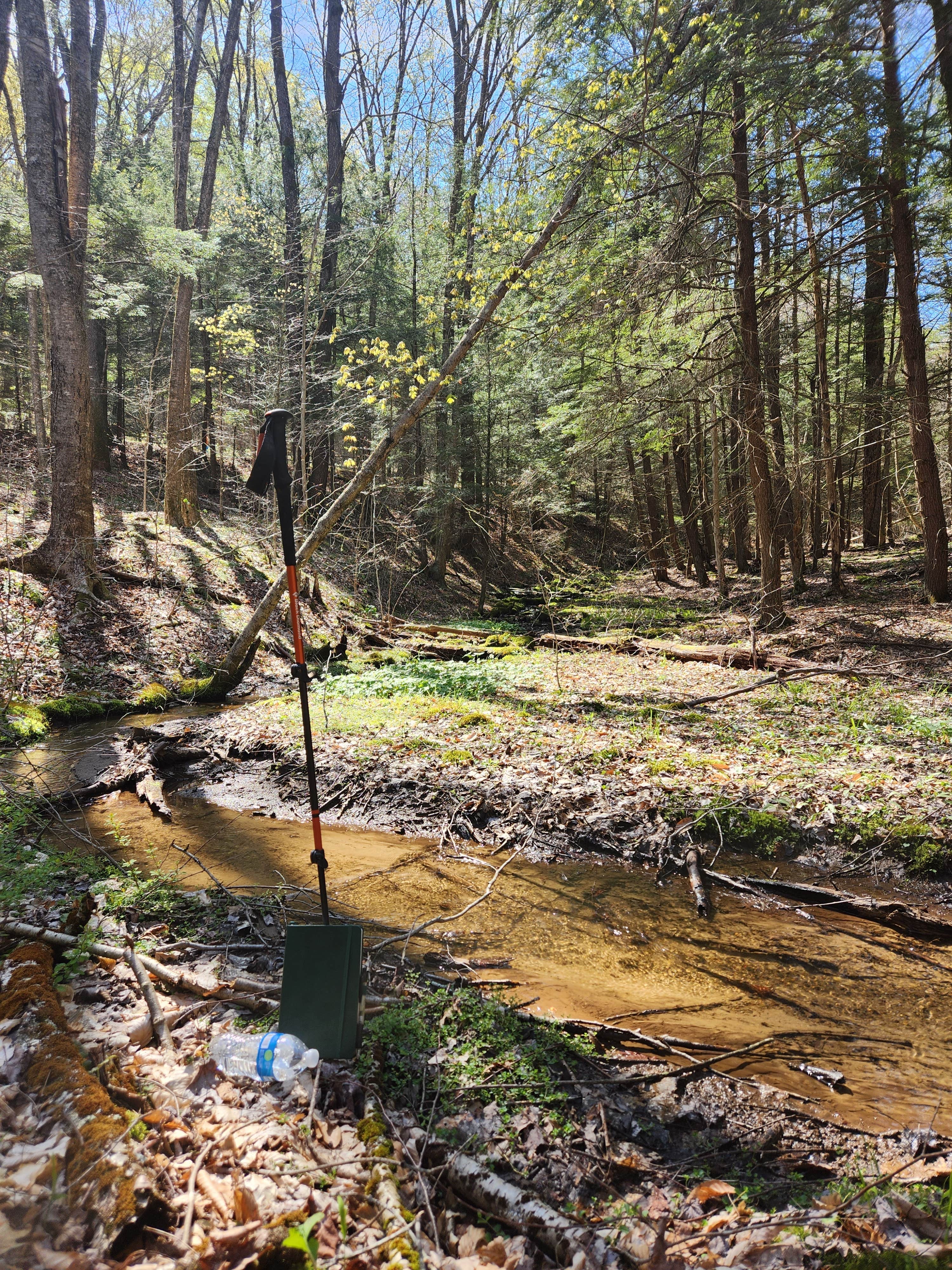 Camper-submitted photo at Forestry Road Dispersed Campsite near Tionesta, PA