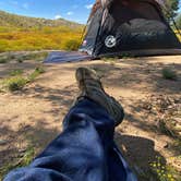 Review photo of Lake Perris State Recreational Area Campground by Marco , May 16, 2023
