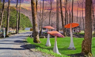 Camping near Bristol Fields Horse Camp: Magical Mountain Resorts, The Enchanted Forest, Hayesville, North Carolina