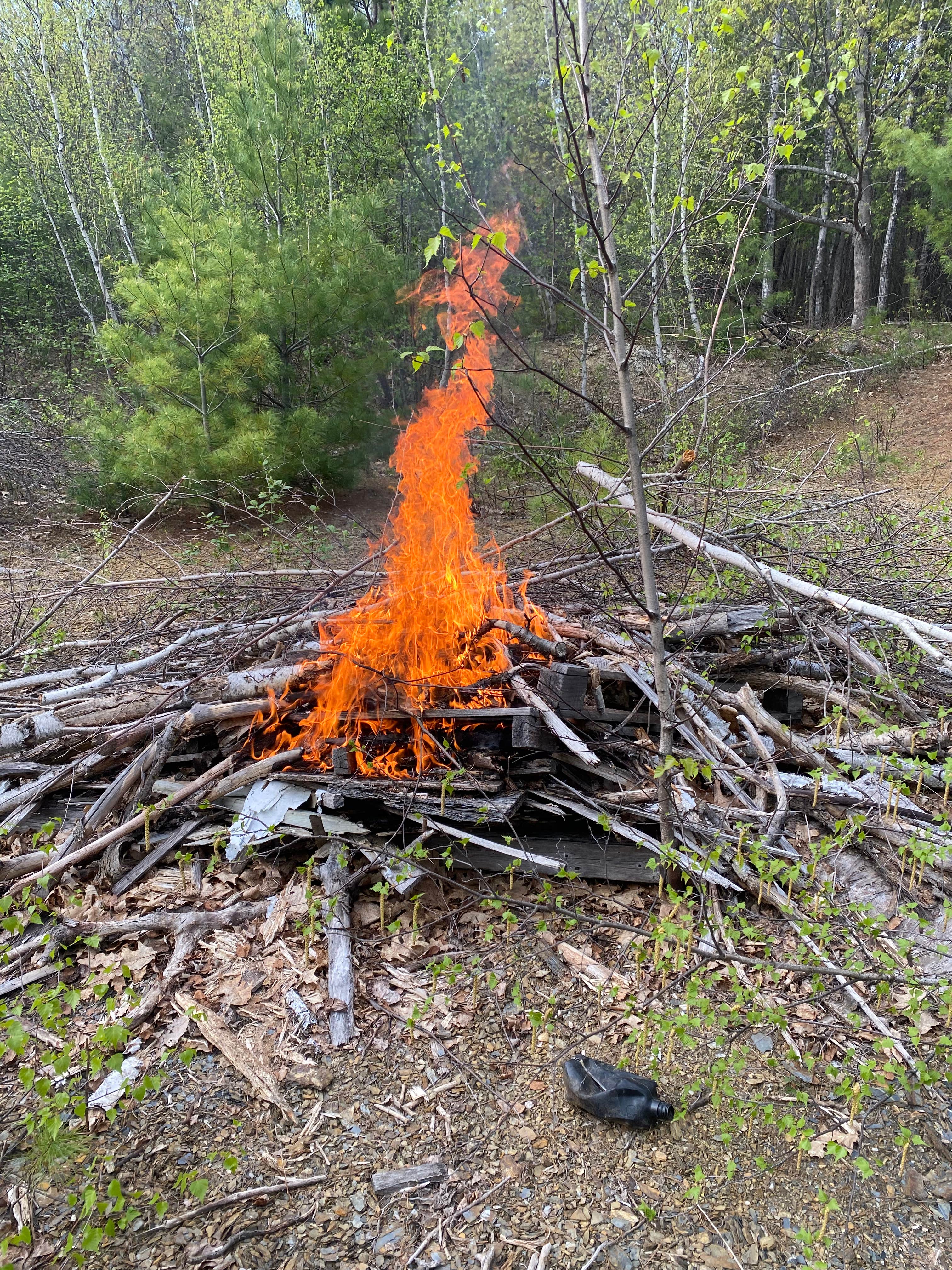 Camper-submitted photo at Heart of Maine near Corinna, ME