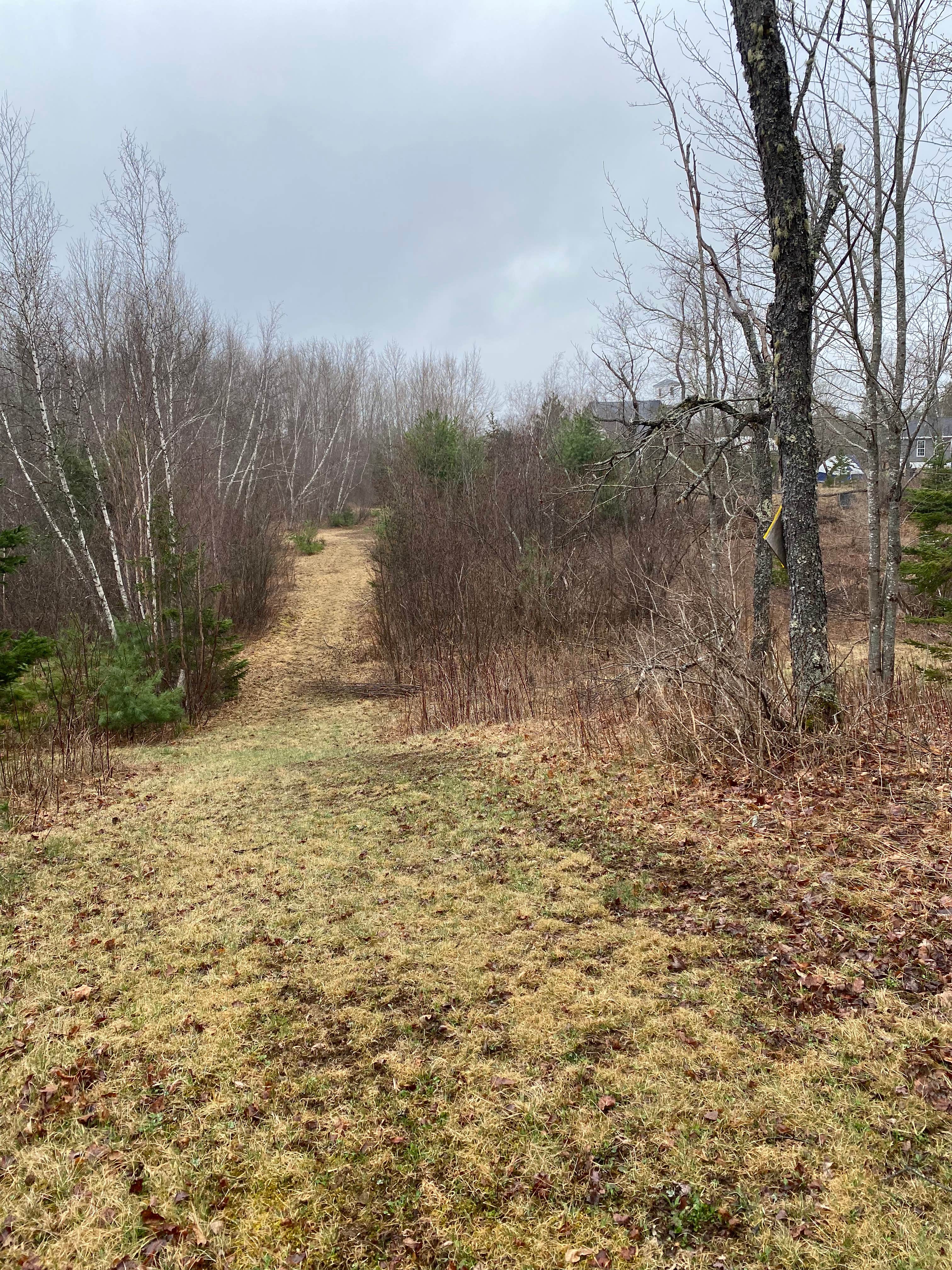 Camper-submitted photo at Heart of Maine near Corinna, ME