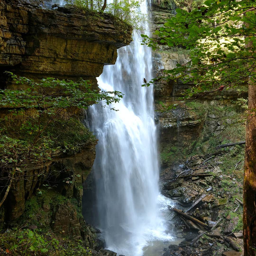 Camper submitted image from Virgin Falls State Natural Area - Primitive - 5