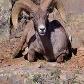 Review photo of South Rim Campground — Black Canyon of the Gunnison National Park by Lee D., May 17, 2023