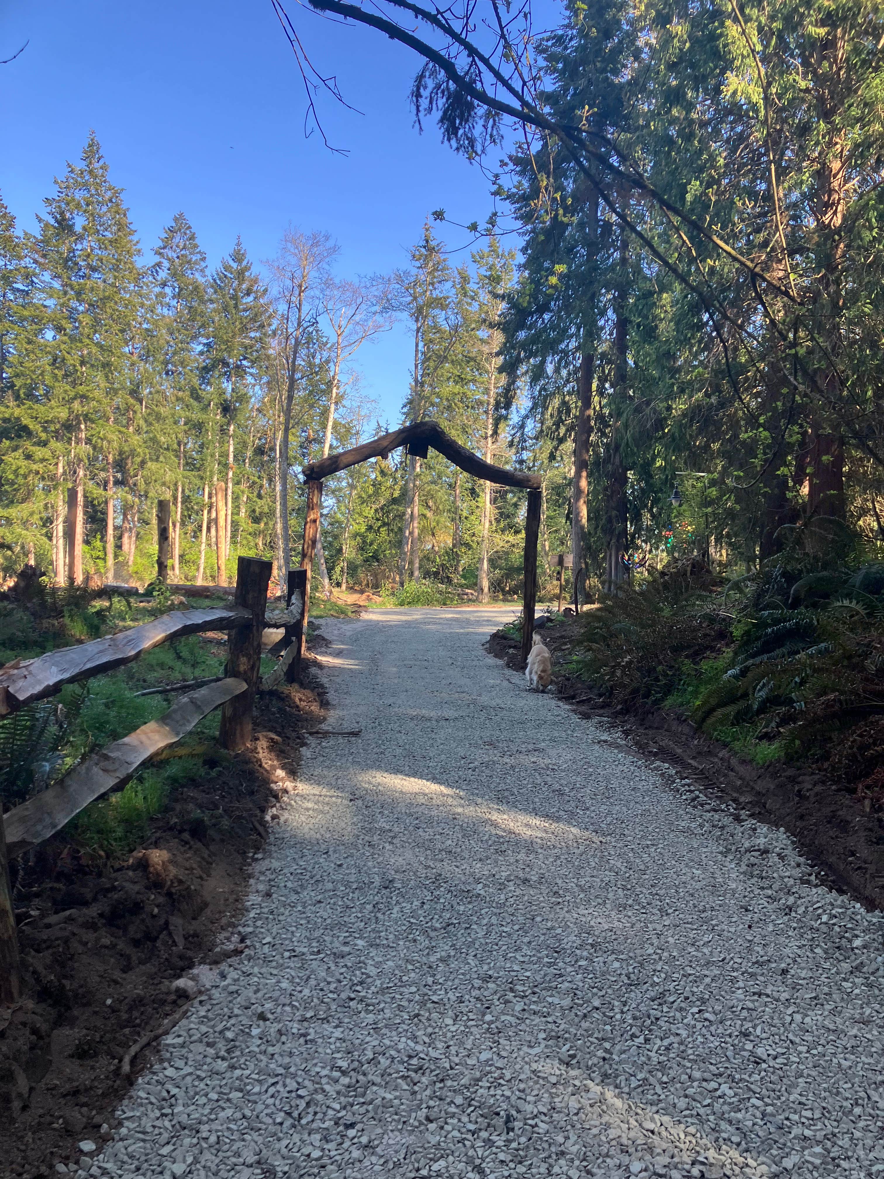 Carolyn U.'s photo of camping with pets at Big Country near Lake Forest Park, WA