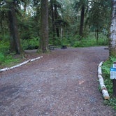 Review photo of Hoh Oxbow Campground by Noah E., May 17, 2023