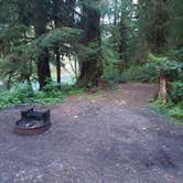 Review photo of Hoh Oxbow Campground by Noah E., May 17, 2023