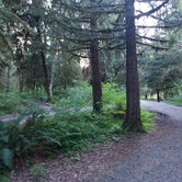Review photo of Hoh Oxbow Campground by Noah E., May 17, 2023