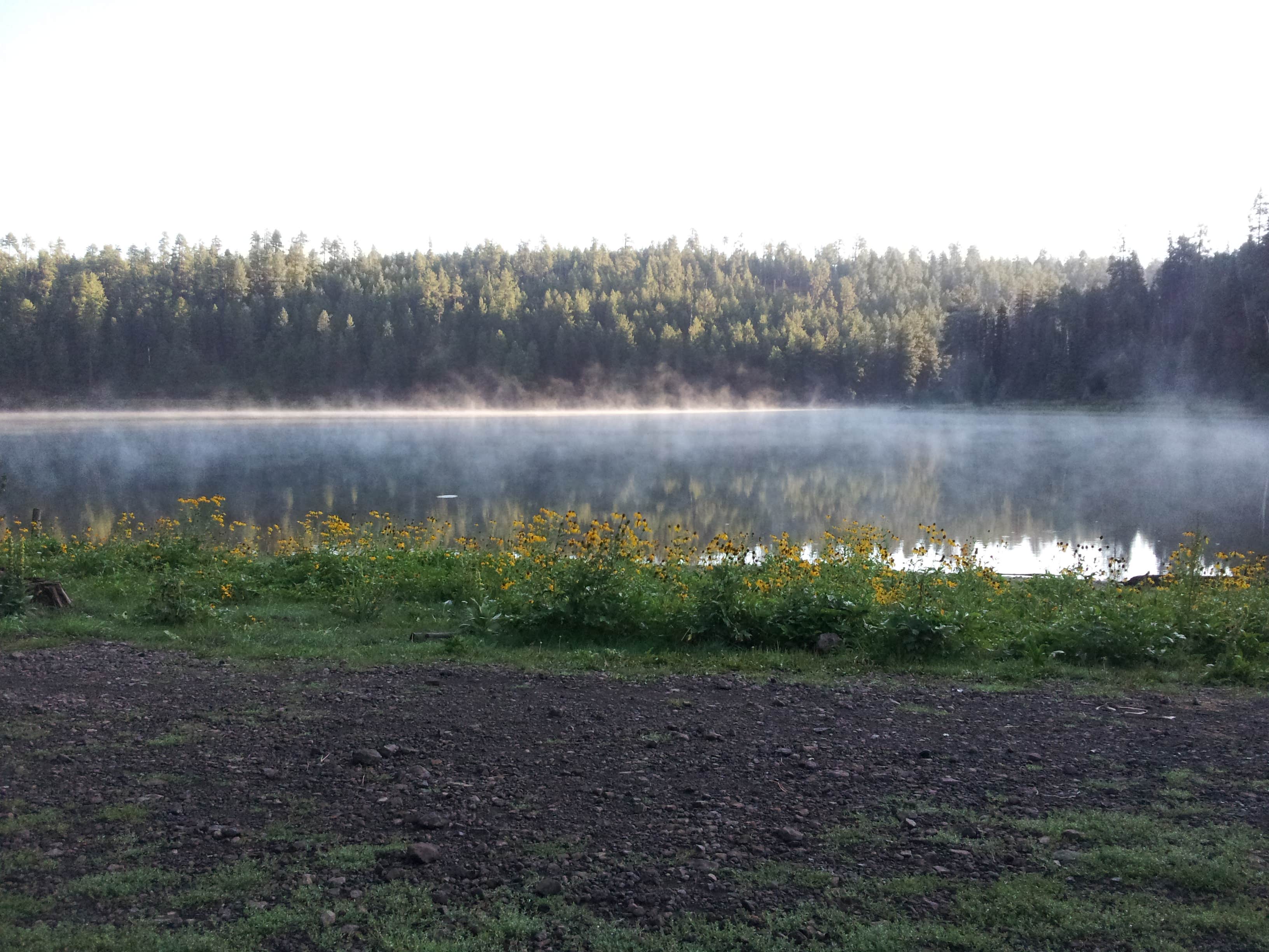 Camping near Christmas Tree Lake: Cyclone Lake Campground, Apache-Sitgreaves National Forest, Arizona