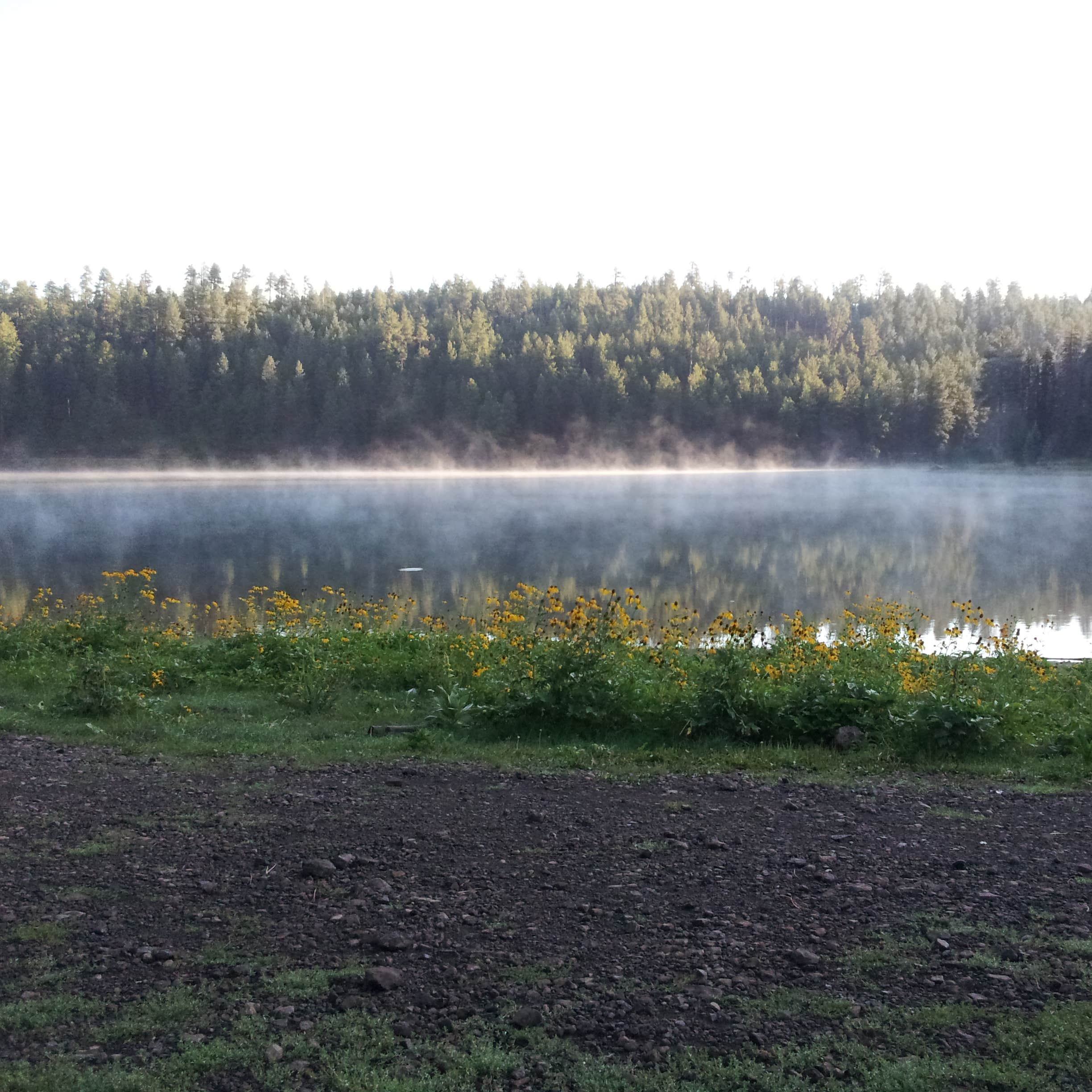 Cyclone Lake Campground | Apache-Sitgreaves National Forest, AZ