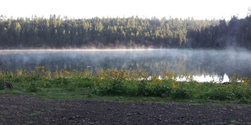 Camper submitted image from Cyclone Lake Campground