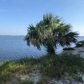 Review photo of Tomoka State Park Campground by Leslie B., October 11, 2018