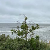 Review photo of Hobson Beach Park by Christian D., May 17, 2023