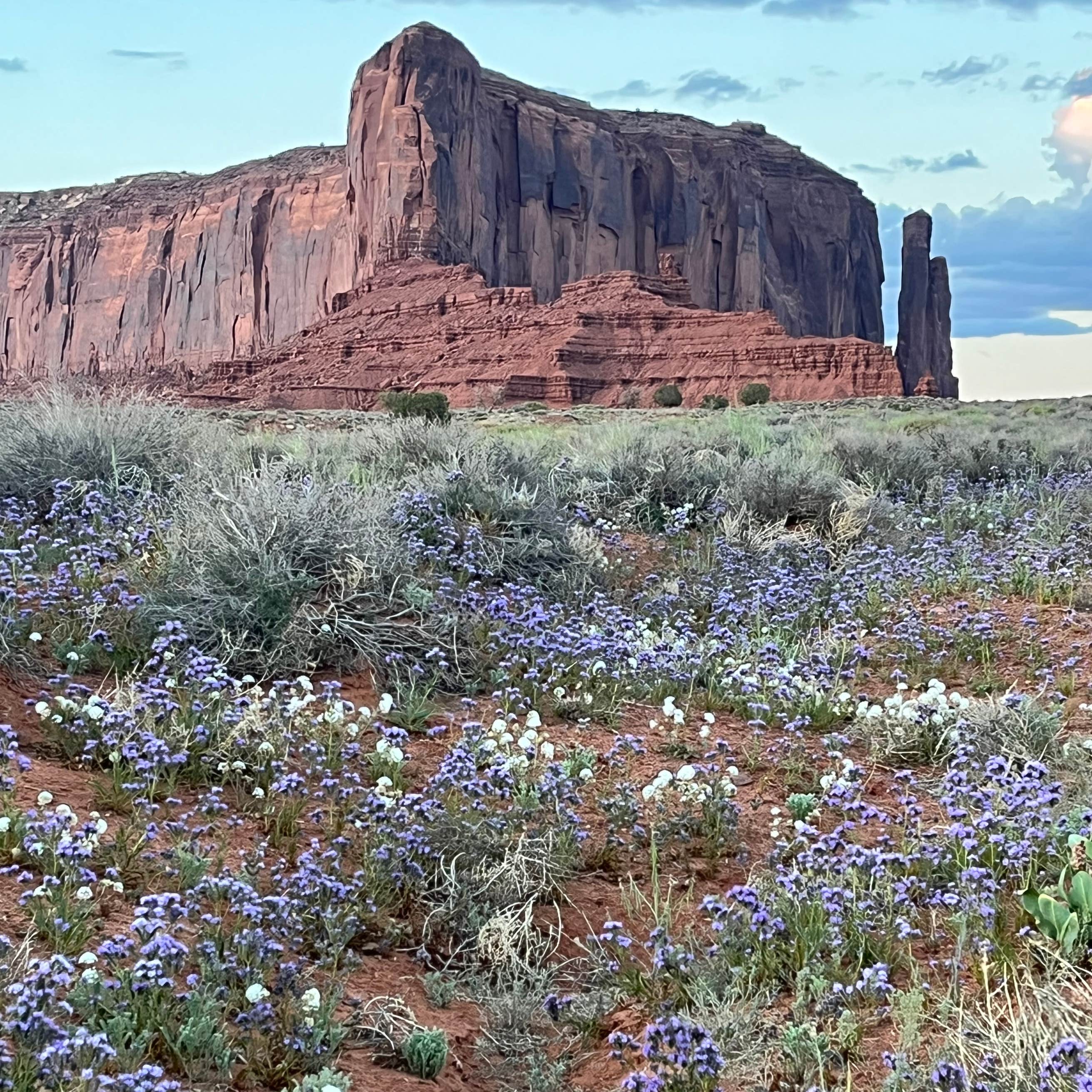 Hummingbird Campground Camping | The Dyrt