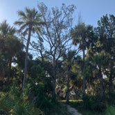 Review photo of Tomoka State Park Campground by Leslie B., October 11, 2018