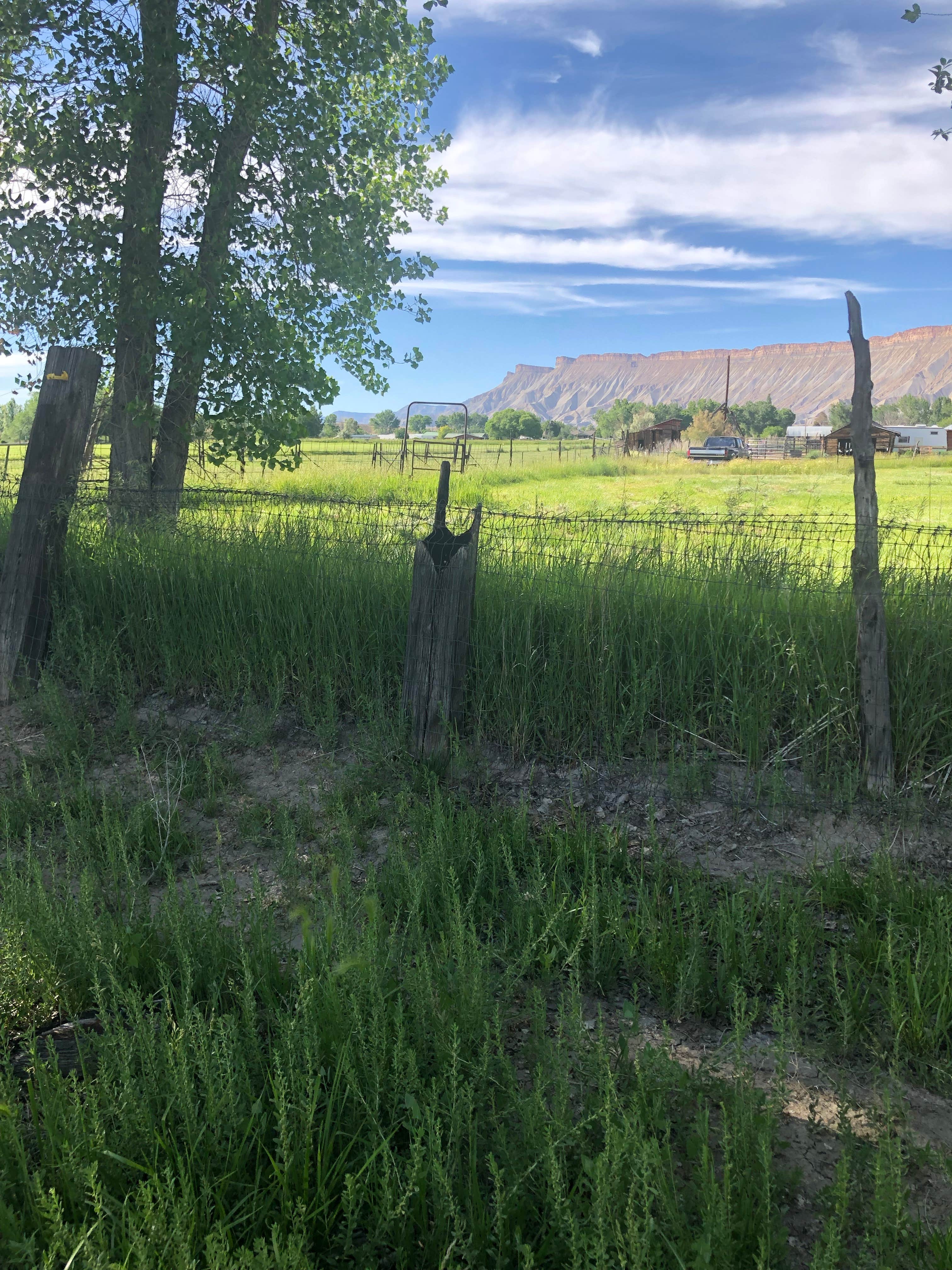 Camping near Oso Grande-Mesa view campsites: Farmhouse Field campsite, Clifton, Colorado