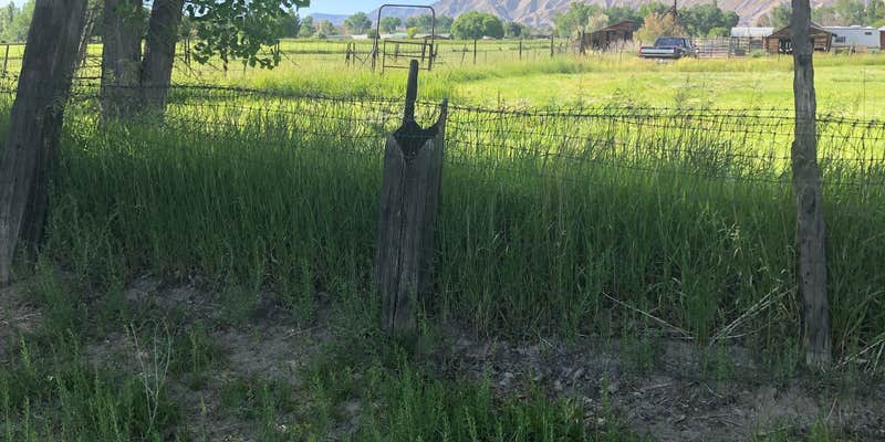 Camper submitted image from Farmhouse Field campsite