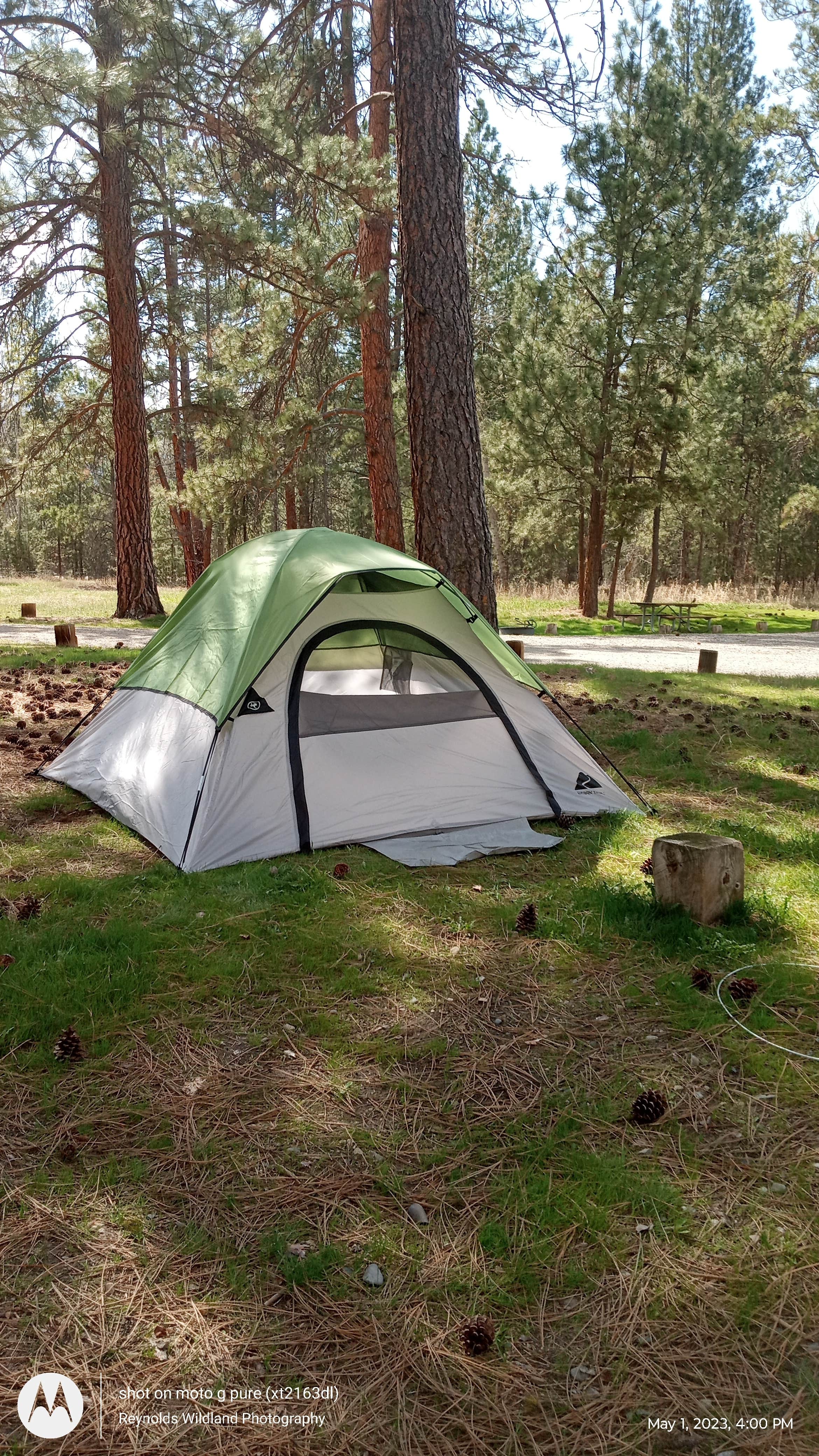 Terrance R.'s photo at Chief Looking Glass Campground near Pinesdale, MT