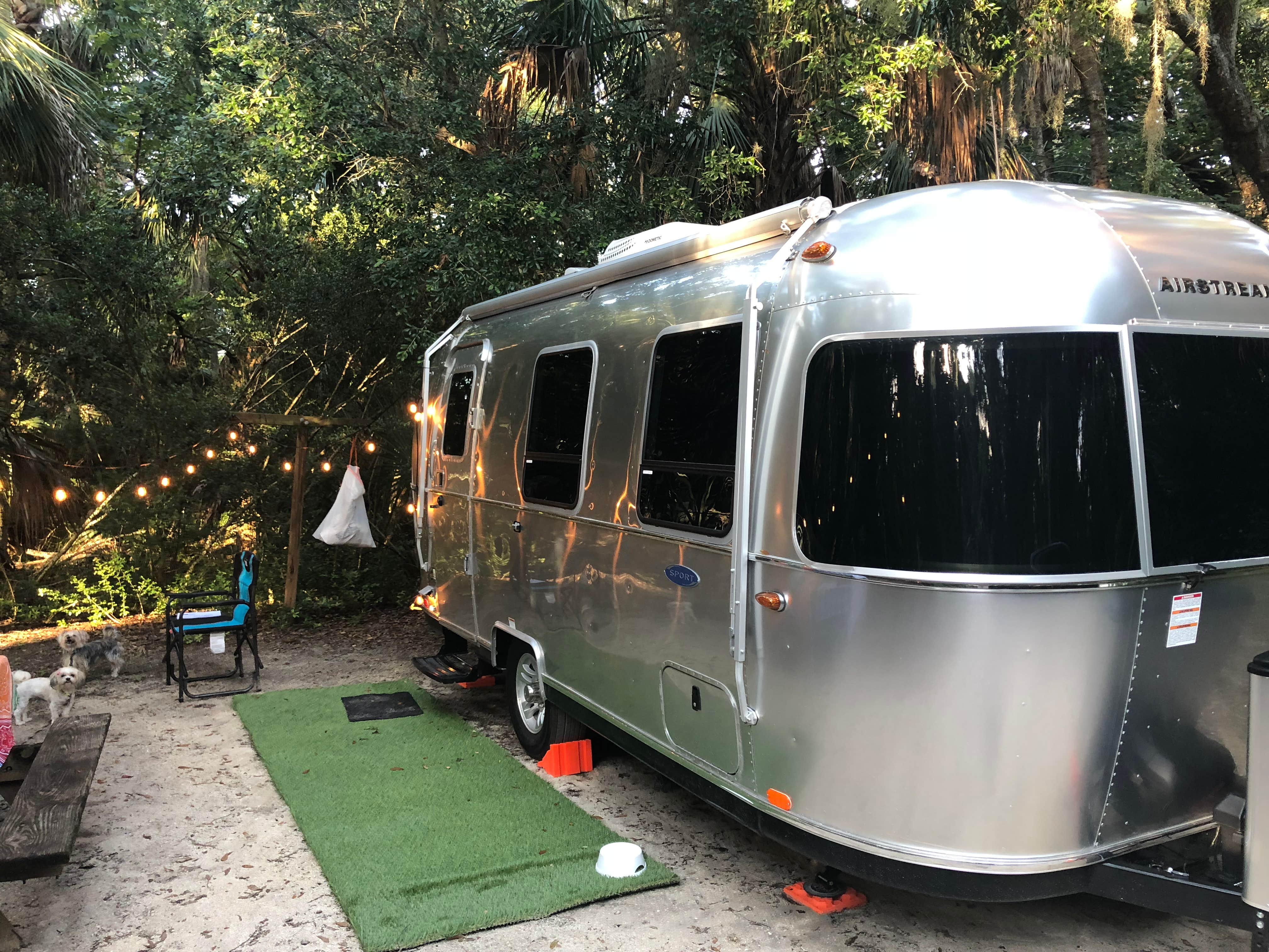 Camper submitted image from Tomoka State Park Campground - 5