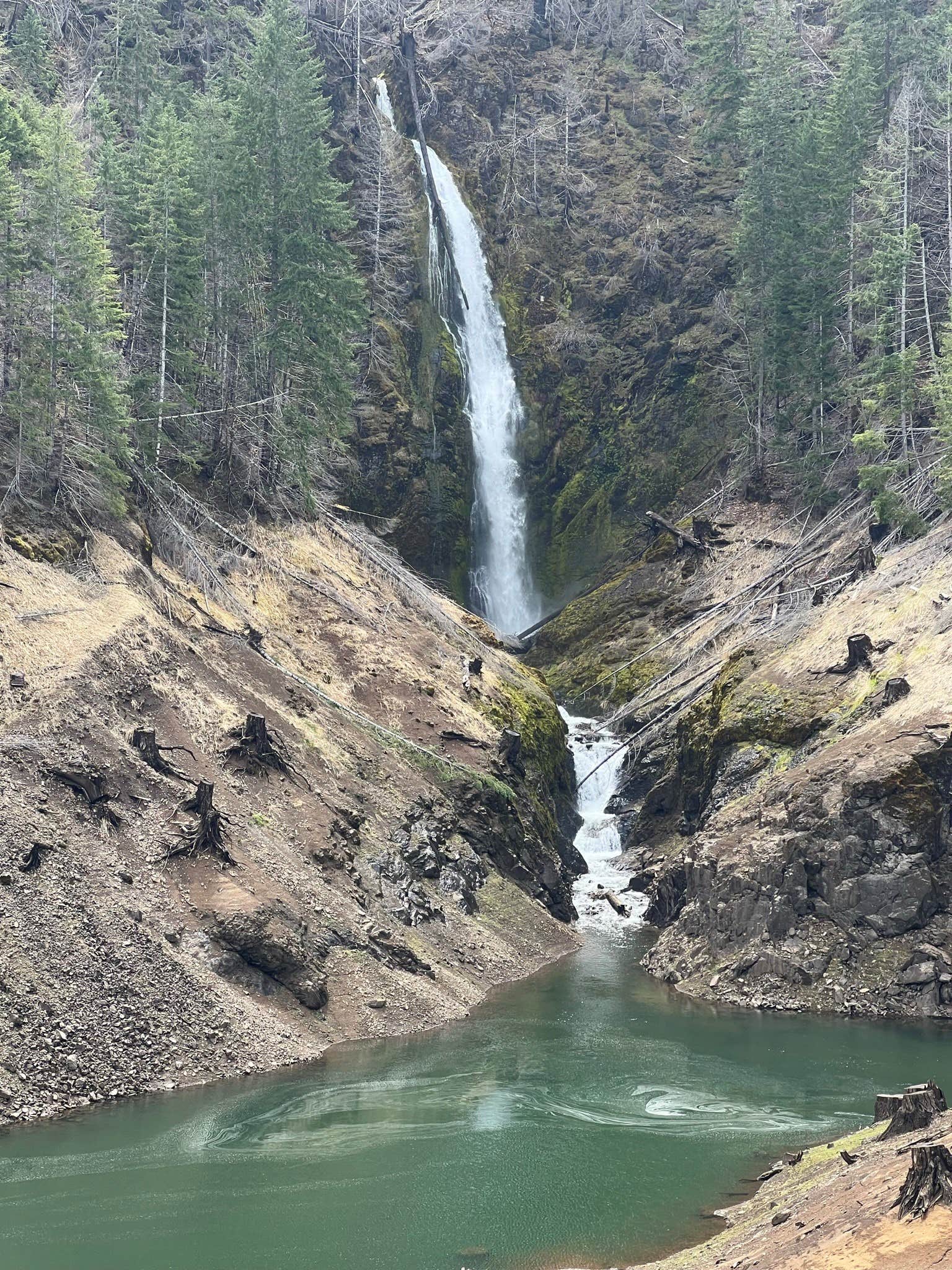 Camper-submitted photo at Blue River Retreat near Blue River, OR