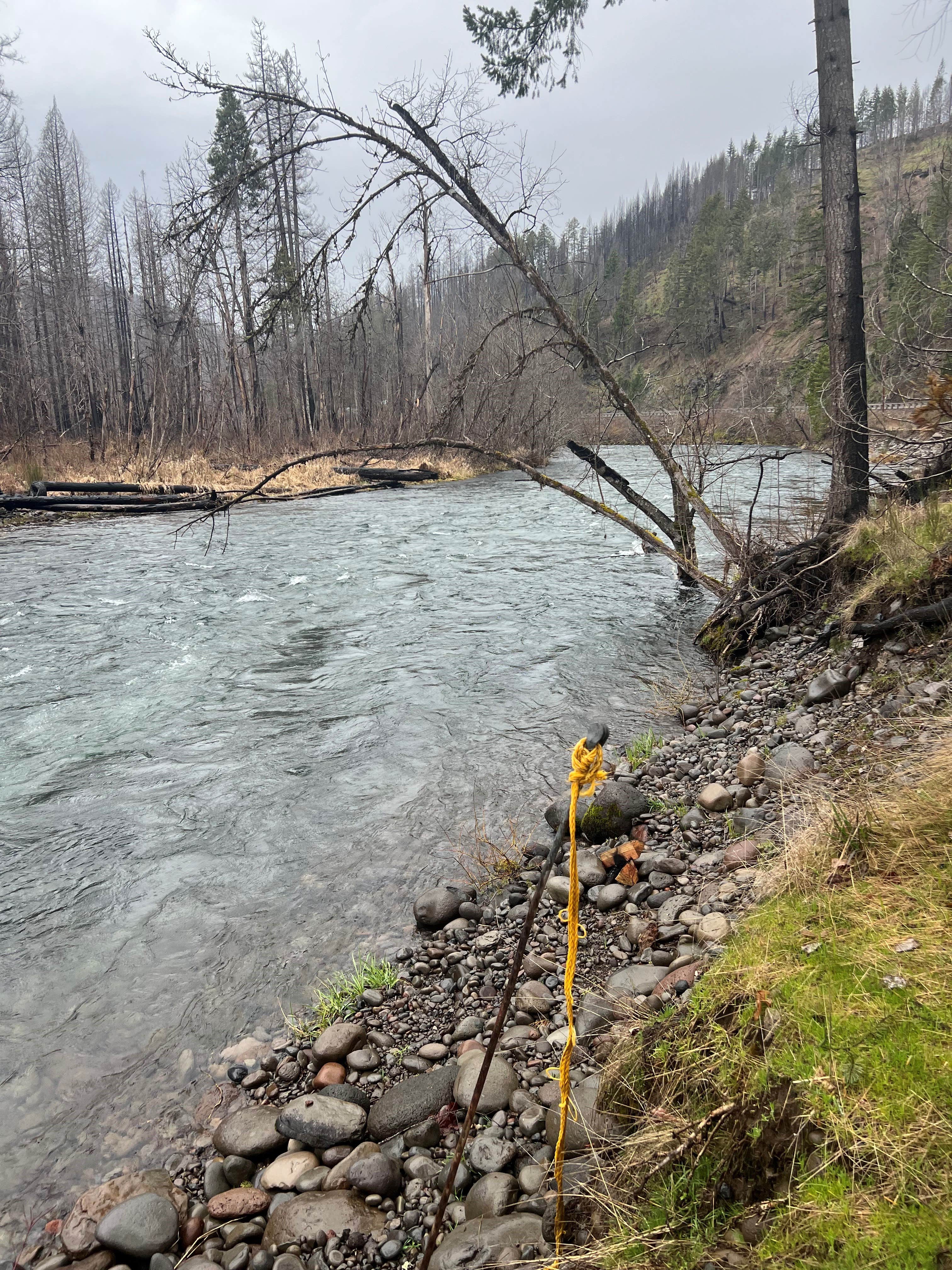 Camper-submitted photo at Blue River Retreat near Blue River, OR