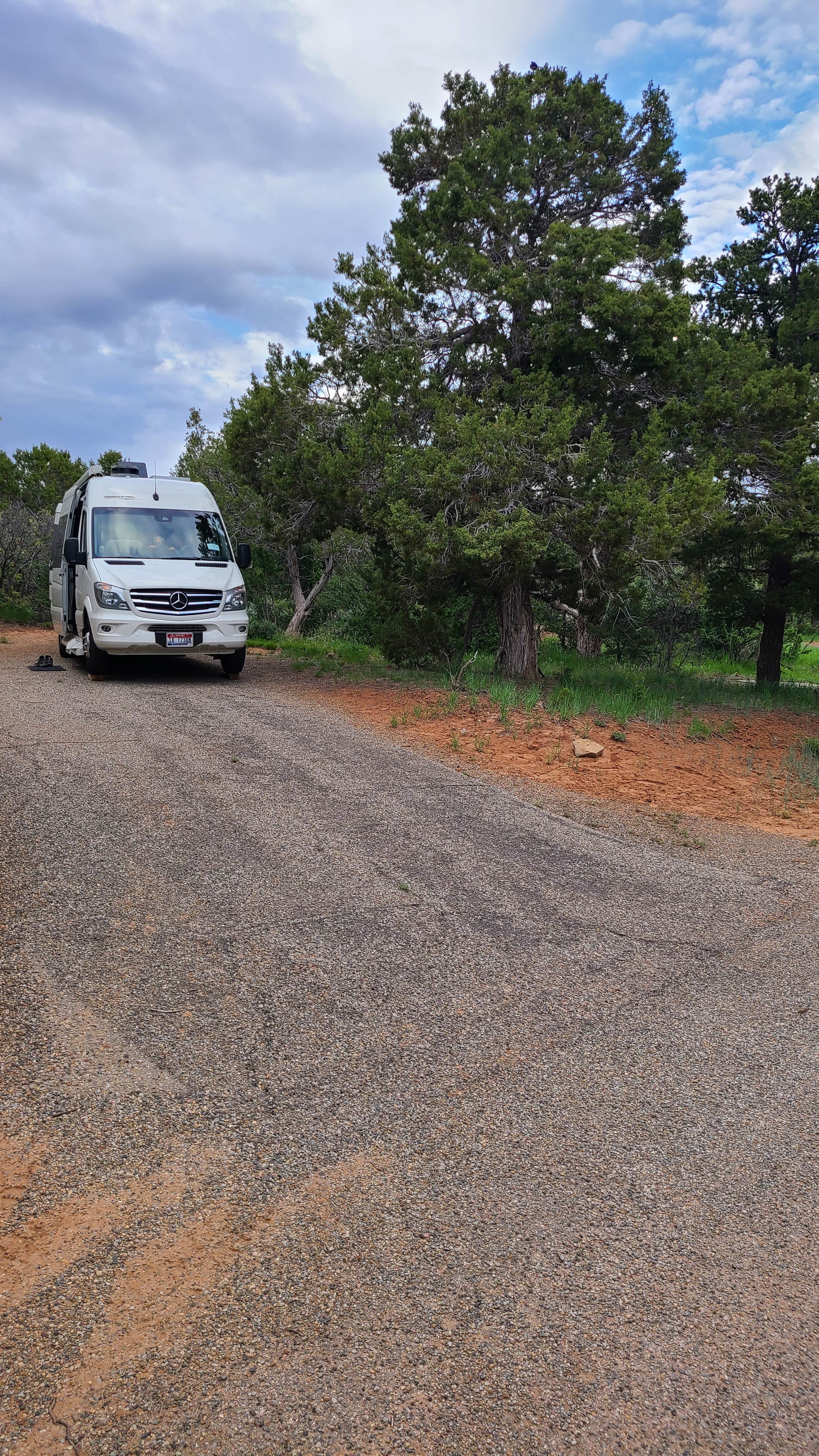 Camper submitted image from McPhee Campground - 1