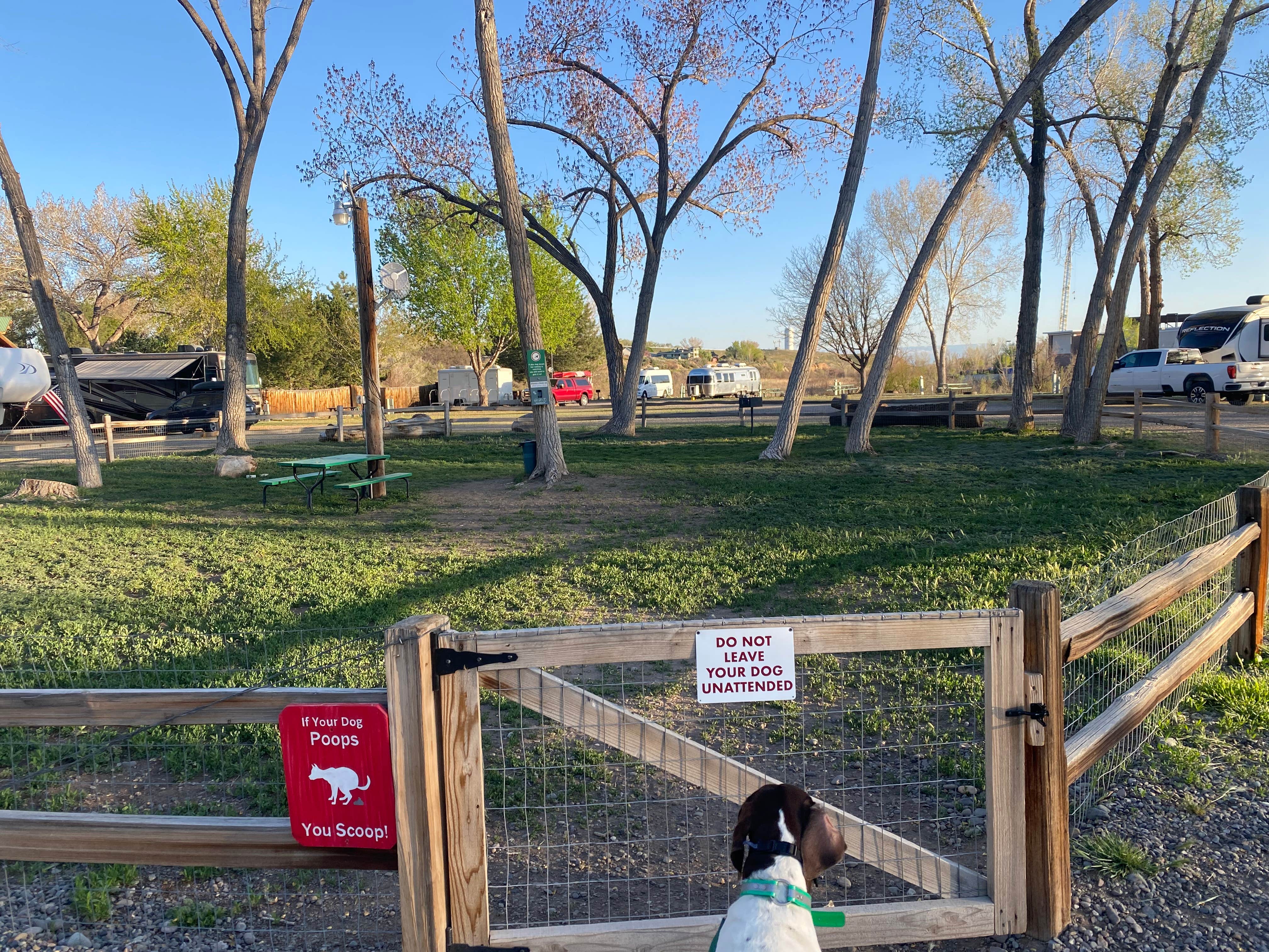 mary F.'s photo of camping with pets at Riverbend RV Park & Cabins near Black Canyon of the Gunnison National Park