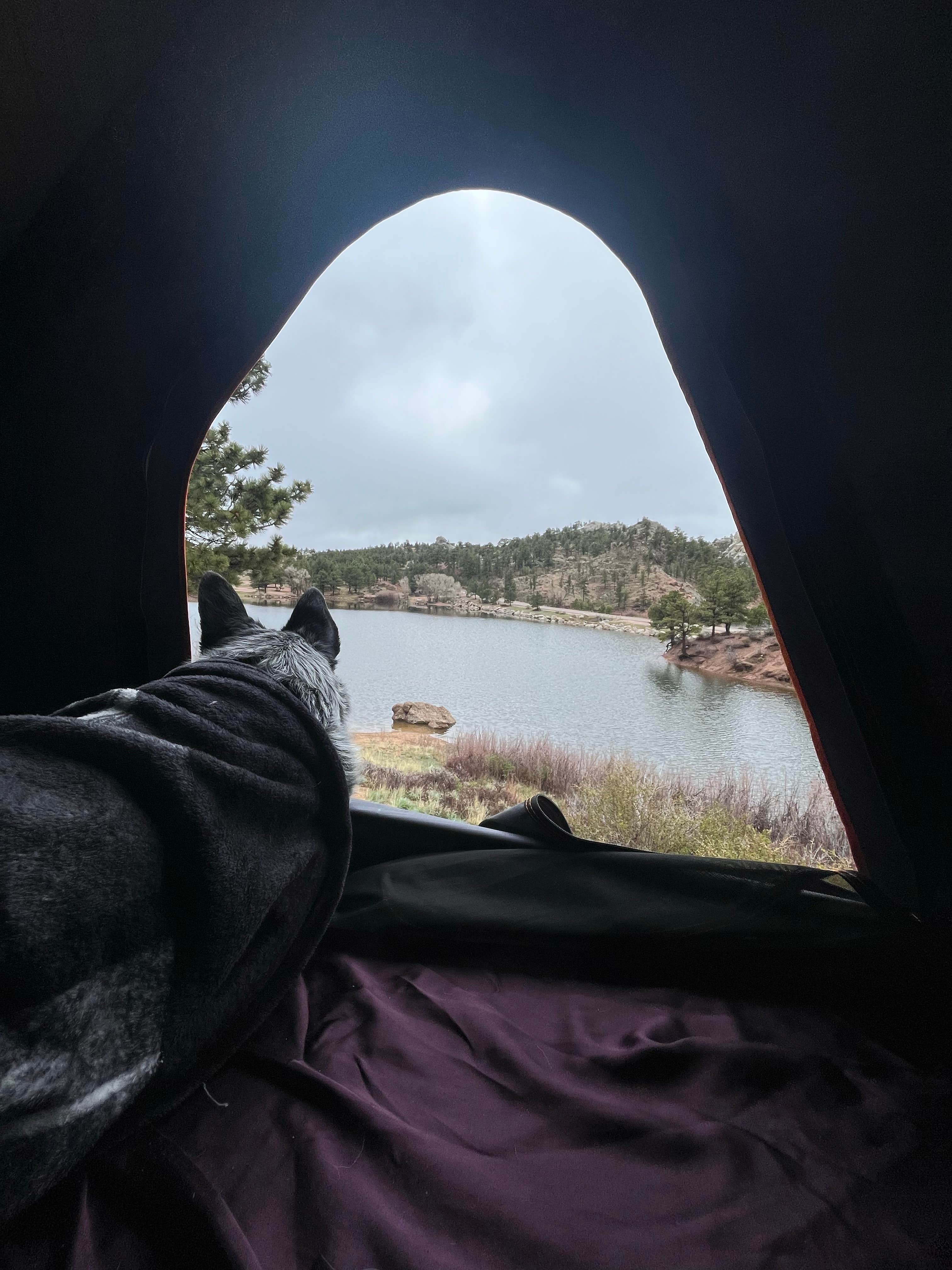Blake M.'s photo of camping with pets at Curt Gowdy State Park Campground near Cheyenne, WY