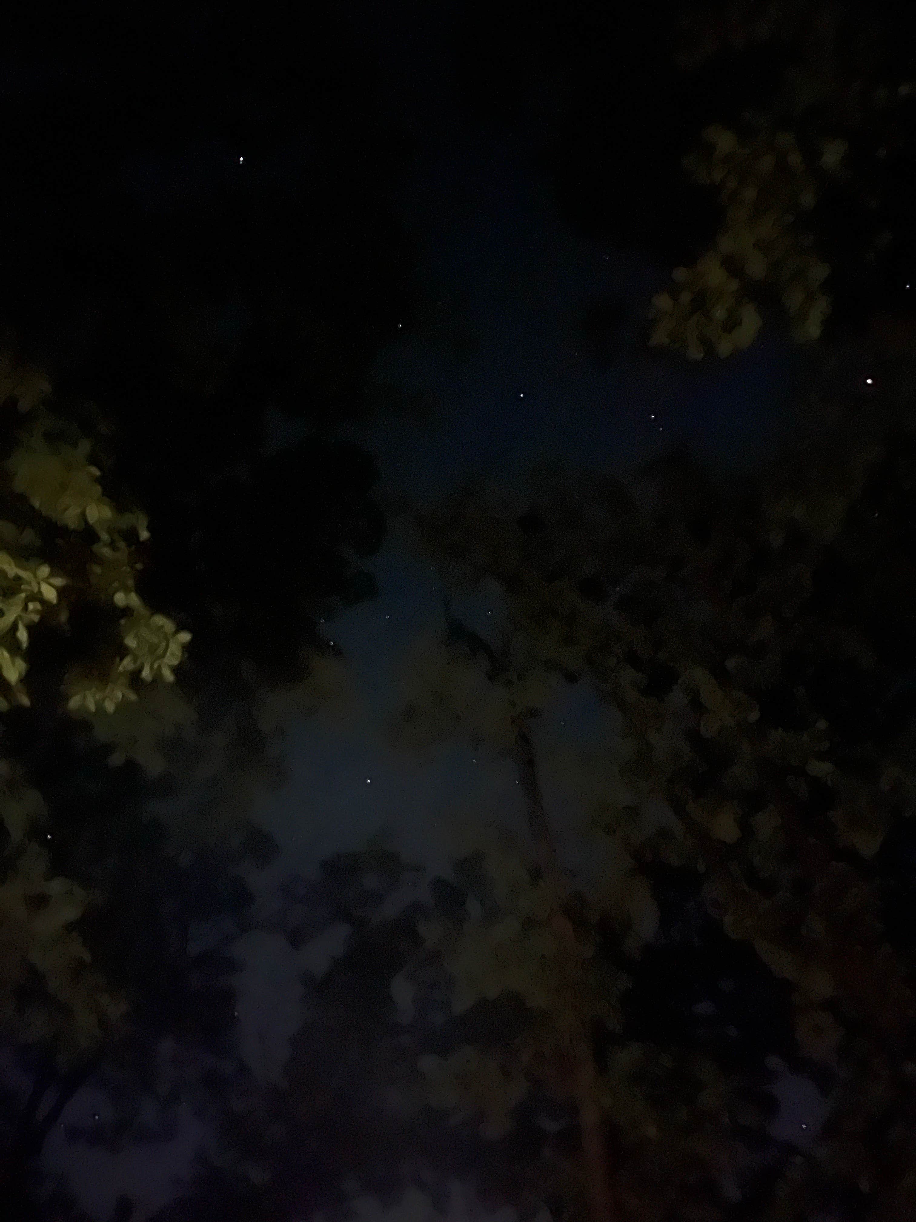 Camper-submitted photo at Hanson Hills Campground near Hallsville, MO