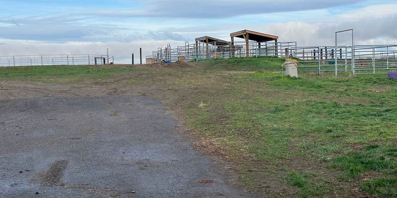 Camper submitted image from Hat J Equine motel and RV