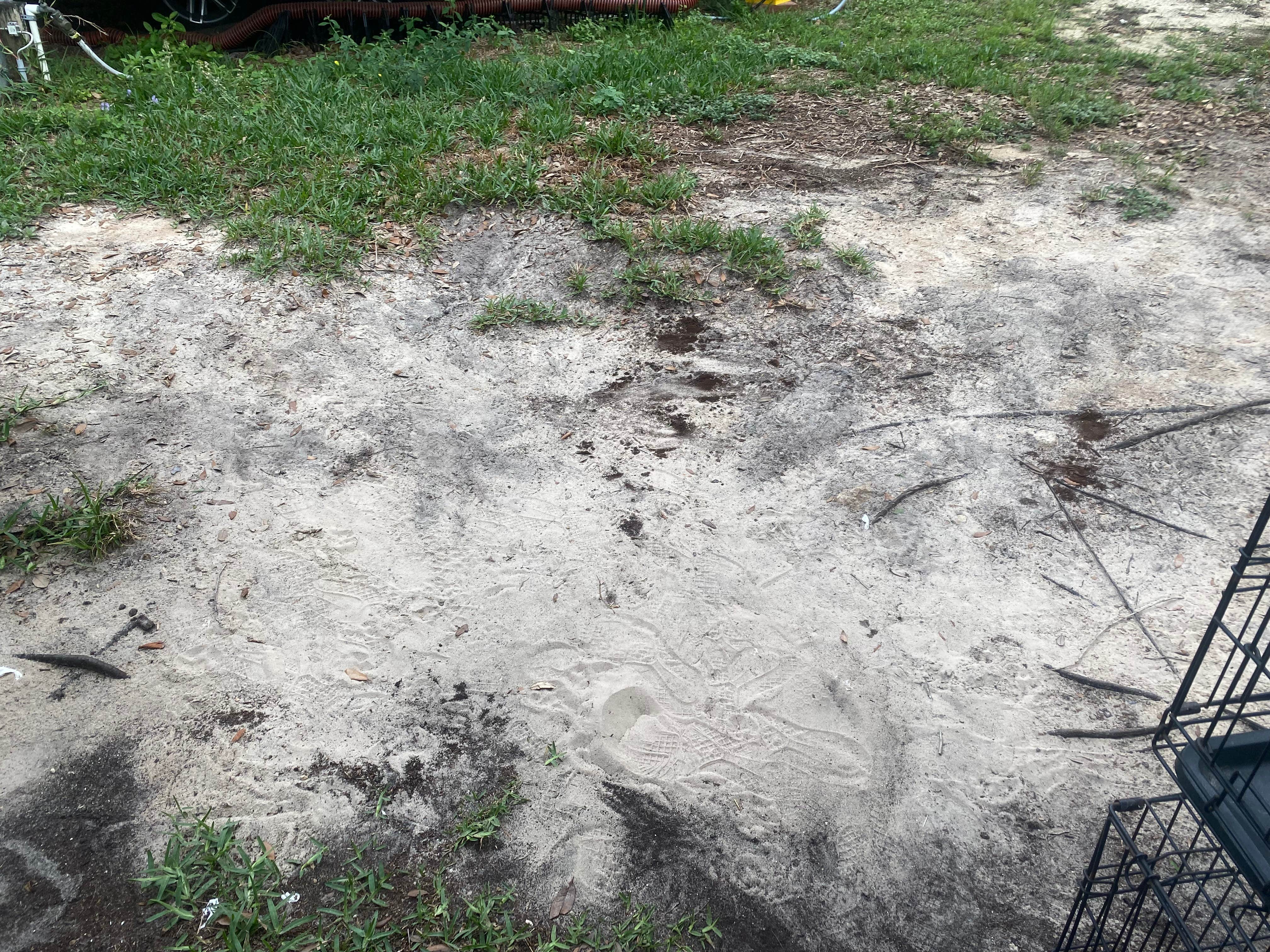 Camper-submitted photo at Eleanor Oaks RV Park near Yankeetown, FL