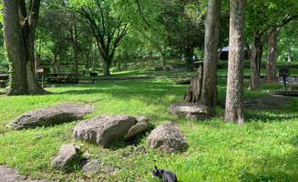 Michael W.'s photo of camping with pets at Floating Mill Park near Granville, TN