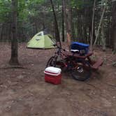 Review photo of Desert of Maine Campground by Maggie K., August 19, 2016