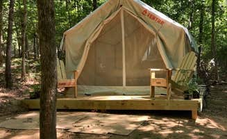 The Dyrt's photo at Tentrr Signature Site - Calming Stream near Francis Marion and Sumter National Forests