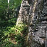 Review photo of Red House Area — Allegany State Park State Park by Ashley V., October 11, 2018