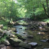 Review photo of Red House Area — Allegany State Park State Park by Ashley V., October 11, 2018