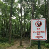 Review photo of Red House Area — Allegany State Park State Park by Ashley V., October 11, 2018