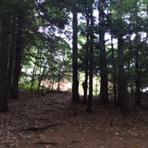 Review photo of Desert of Maine Campground by Maggie K., August 19, 2016